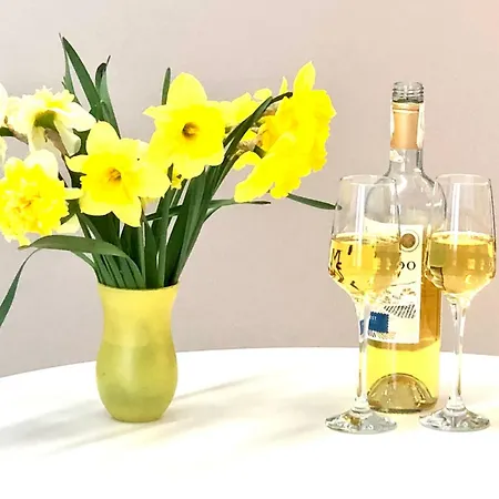 Apartman Osapart Cozy In A Complex Semycvit *