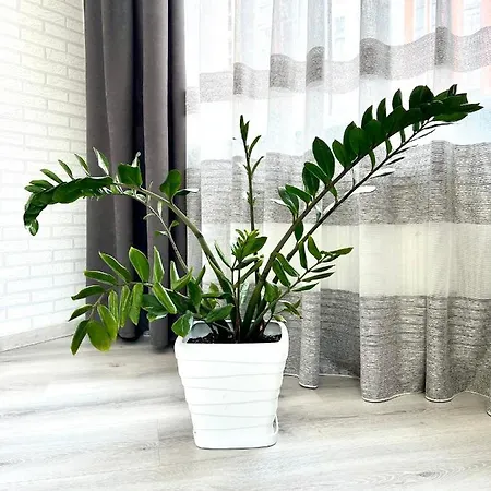 Osapart Cozy In A Complex Semycvit 利沃夫