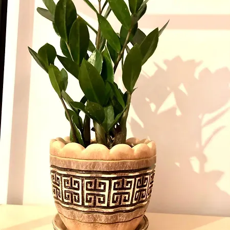 Osapart Cozy In A Complex Semycvit * Leópolis