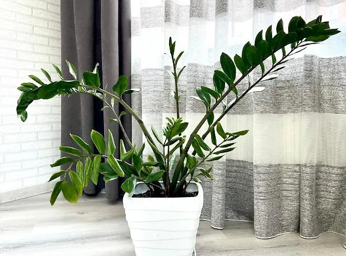 Osapart Cozy In A Complex Semycvit Lviv