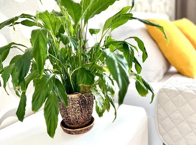 Osapart Cozy In A Complex Semycvit * Lviv