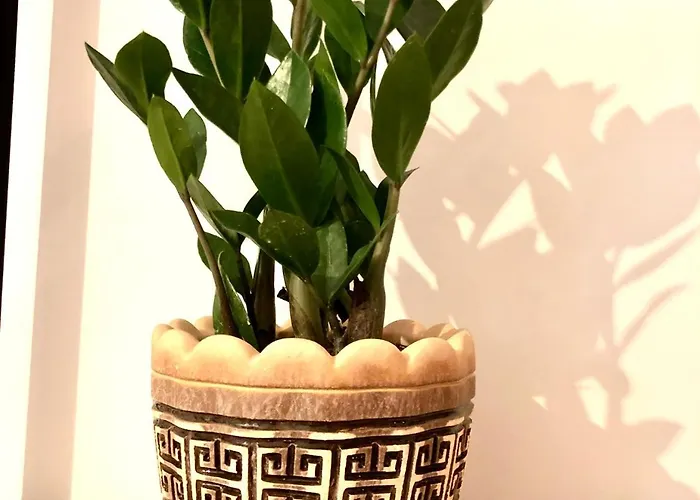 Osapart Cozy In A Complex Semycvit * Lviv