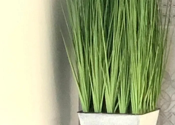 Osapart Cozy In A Complex Semycvit