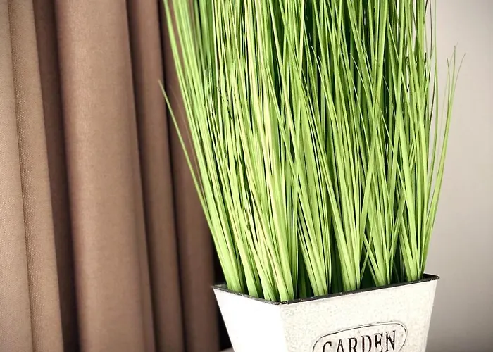 Osapart Cozy In A Complex Semycvit * Lviv